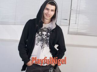 PlayfulNigel