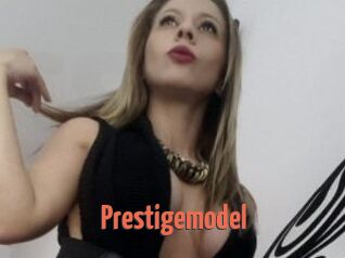 Prestigemodel