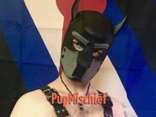 PupMischief