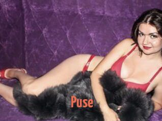 Puse