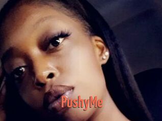 PushyMe