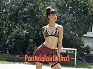 Pamelalaatinhot