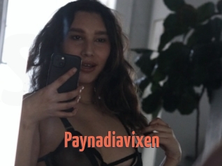Paynadiavixen