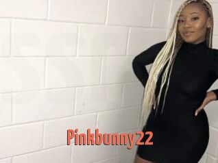 Pinkbunny22