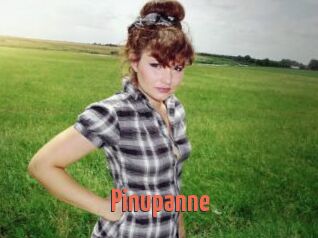 Pinupanne