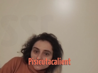 Pisicutacalient