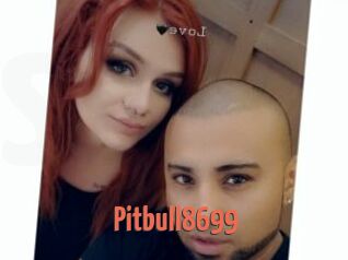 Pitbull8699