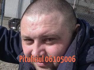 Pituliciul-06105006