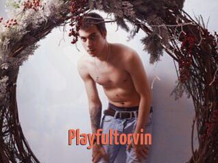 Playfultorvin