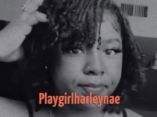Playgirlharleynae