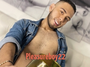 Pleasureboy22