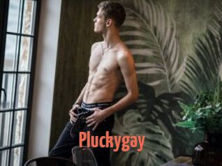 Pluckygay