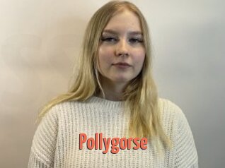 Pollygorse