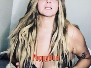 Poppybud