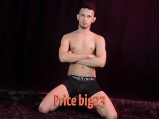 Price_big23
