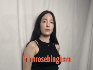 Primrosebingham