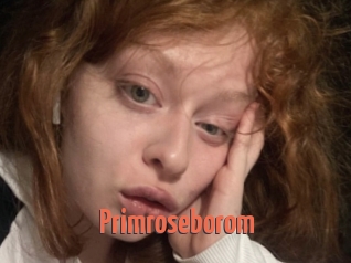 Primroseborom