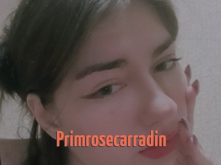 Primrosecarradin