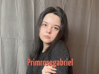Primrosegabriel