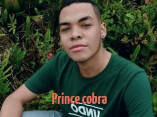Prince_cobra