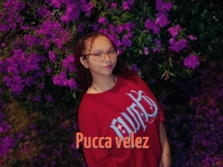 Pucca_velez