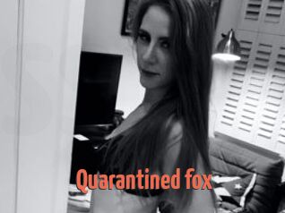 Quarantined_fox