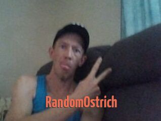 RandomOstrich