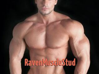 RavenMuscleStud