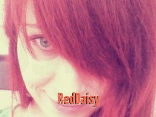RedDaisy