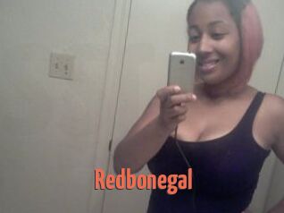 Redbonegal