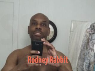 Rodney_Rabbit