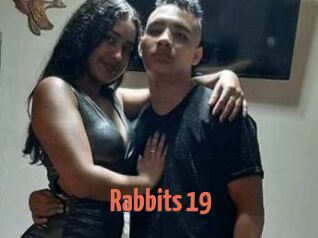 Rabbits_19