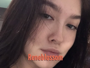 Reneblossom