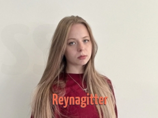 Reynagitter