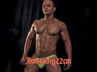 Romeobig22cm