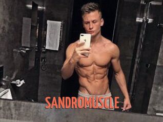 SANDRO_MUSCLE