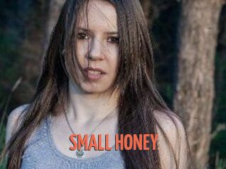 SMALL_HONEY