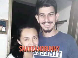 SNAKEANDBUNNY