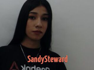 SandySteward