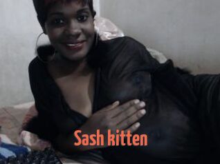 Sash_kitten