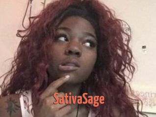 Sativa_Sage