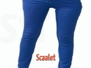 Scaalet