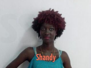 Shandy