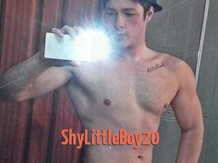 ShyLittleBoy20