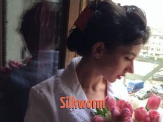 Silkworm