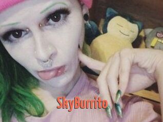 SkyBurrito