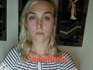 SoaringBlonde