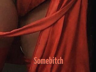 Somebitch