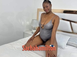 Sachahamilton
