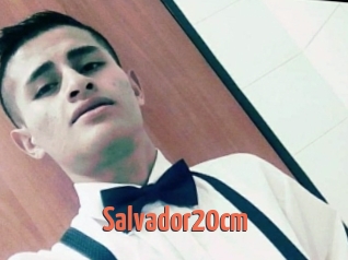 Salvador20cm